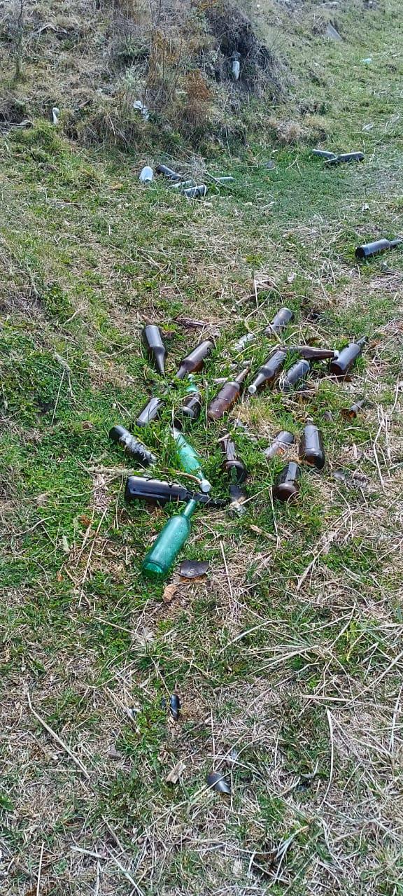 60f6136c-8354-4a35-8677-74f681392eba