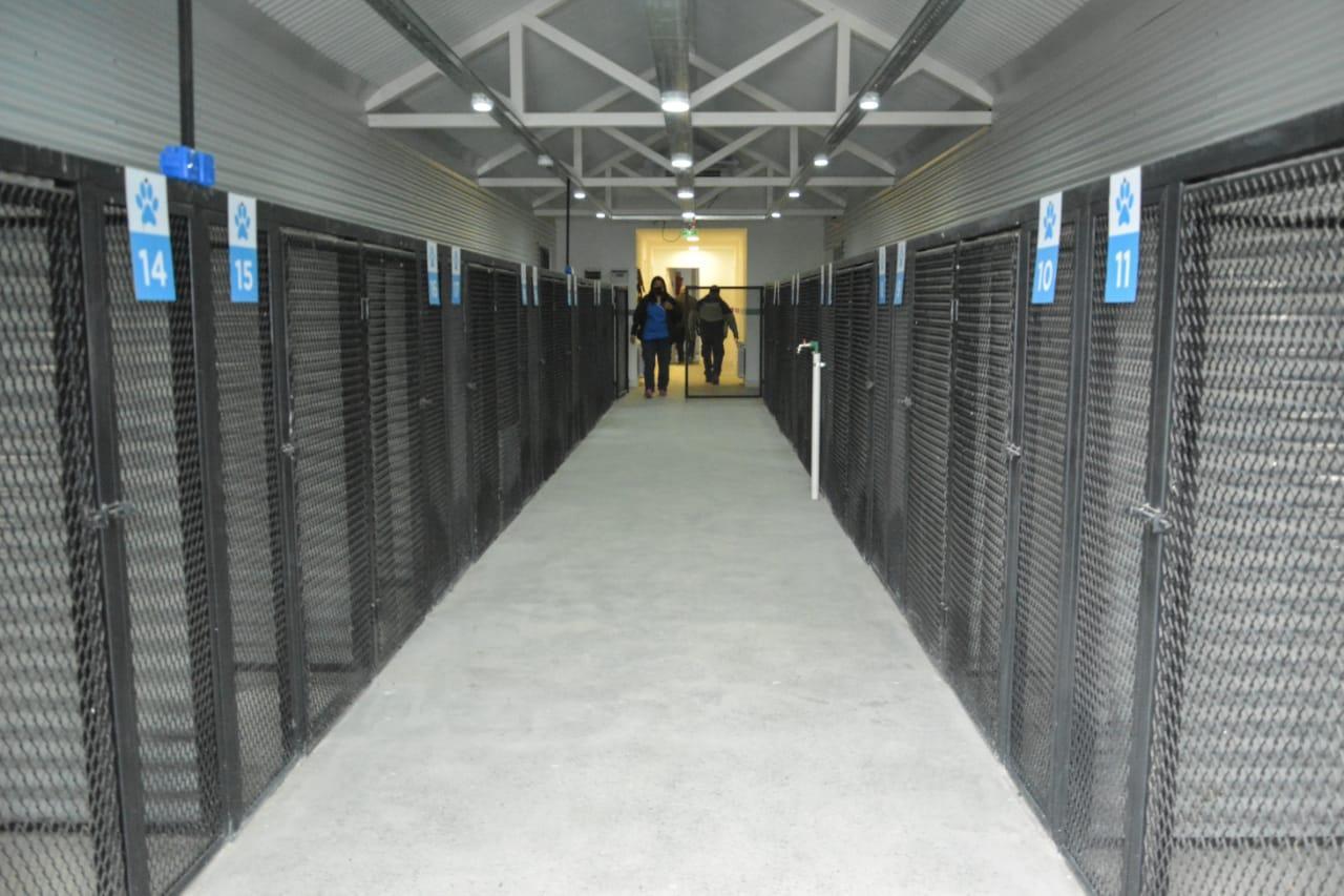 61b7cf59506606c201a19ba3