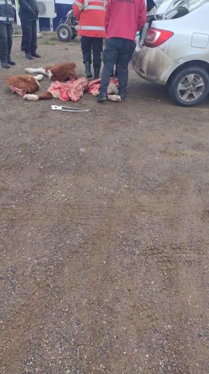 4c8ce6dc-d074-489b-85ae-31c93ca4a422