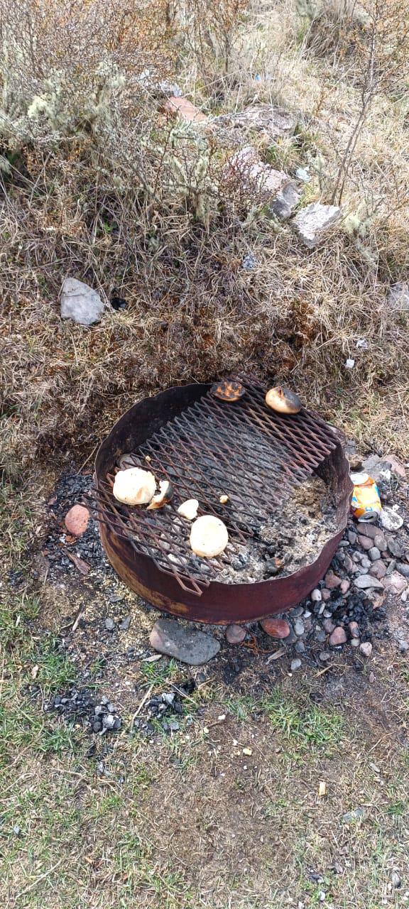 34da210f-e796-48fa-aefc-ae876a1f1022