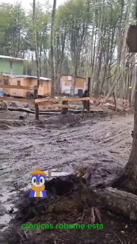 WhatsApp Video 2025-10-26 at 08.27.06