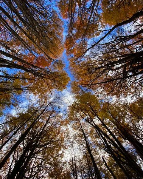 279065504_3126848897571409_6234346110791954418_n