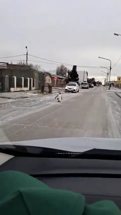 WhatsApp Video 2024-07-08 at 11.41.56