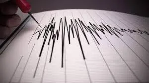 images (5)