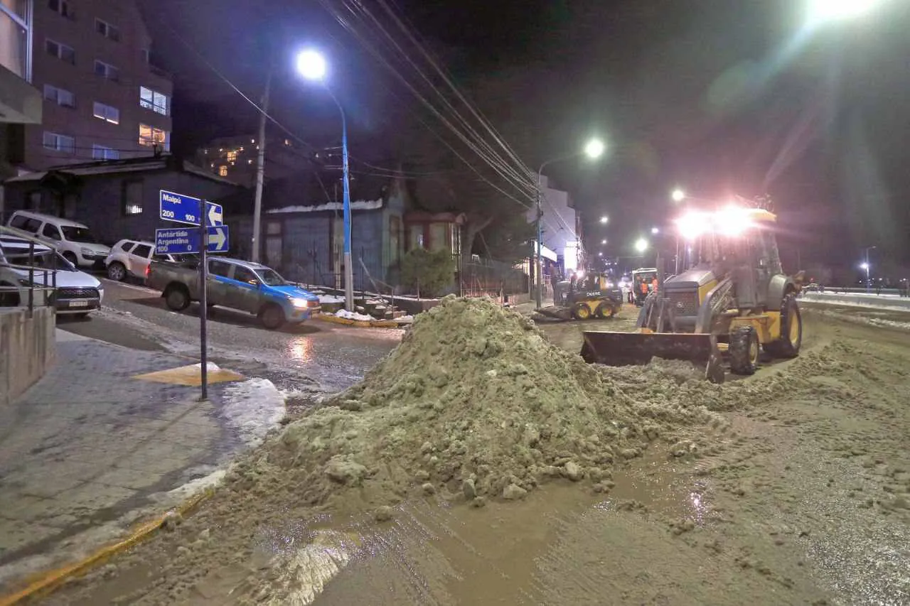 photo_4911676079916297755_y-1