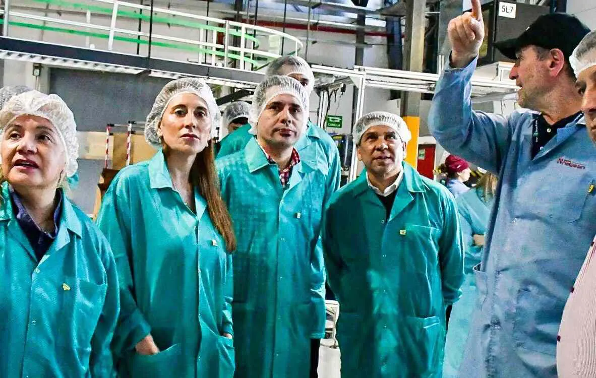 photo_5168242866243963700_y-1