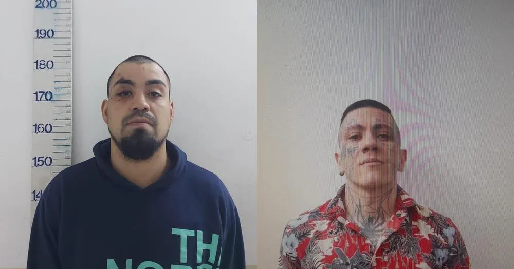 b9abad19-ec32-4e64-962c-6842aa552387