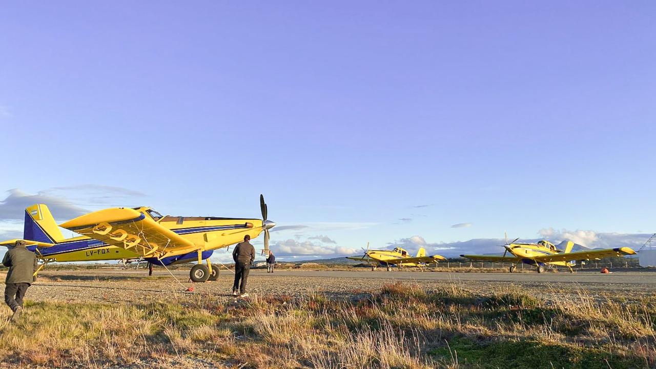 IMG-20221209-WA0093