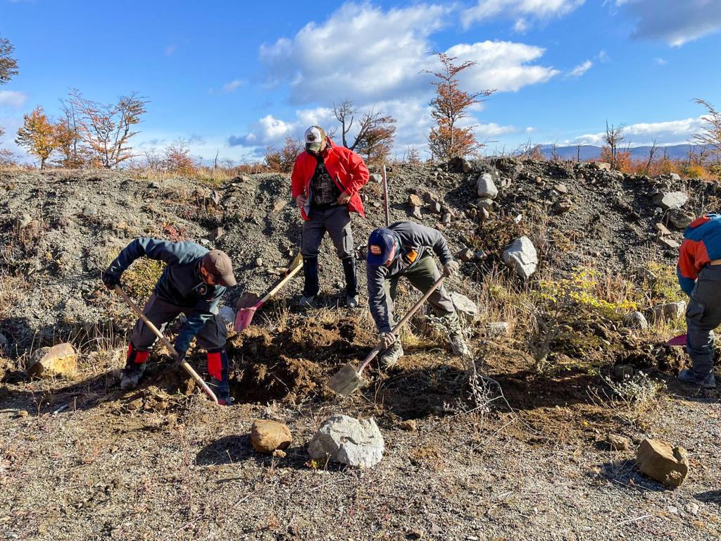 Reforestacion