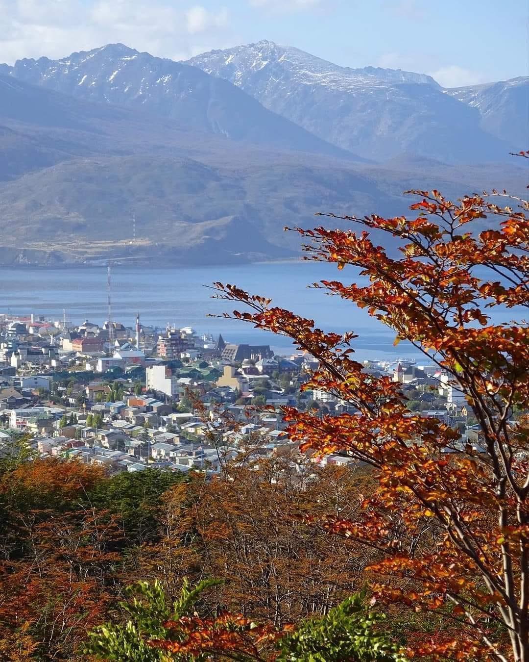 c0b5d45e-a444-41c2-9658-b6d2a3cf7467