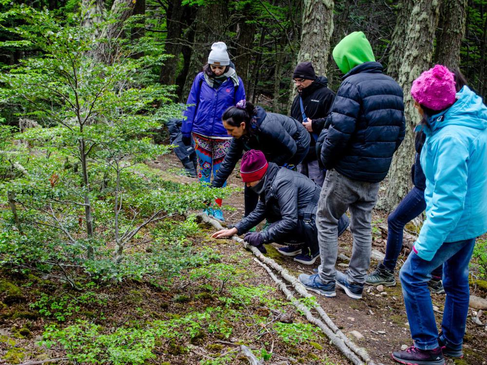 82fc0c54-539c-4fb0-a1af-e8cda27efc75