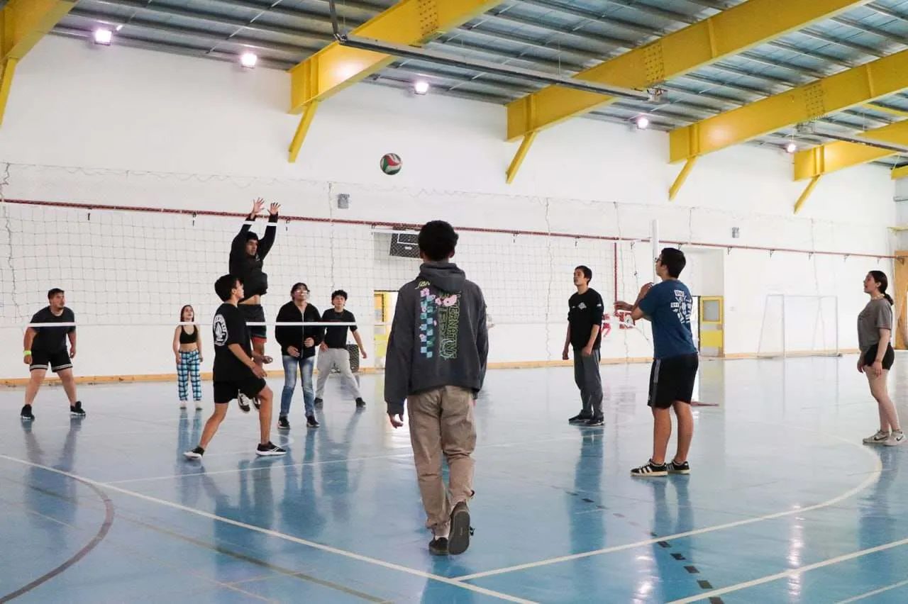 photo_5015251462527234177_y-1