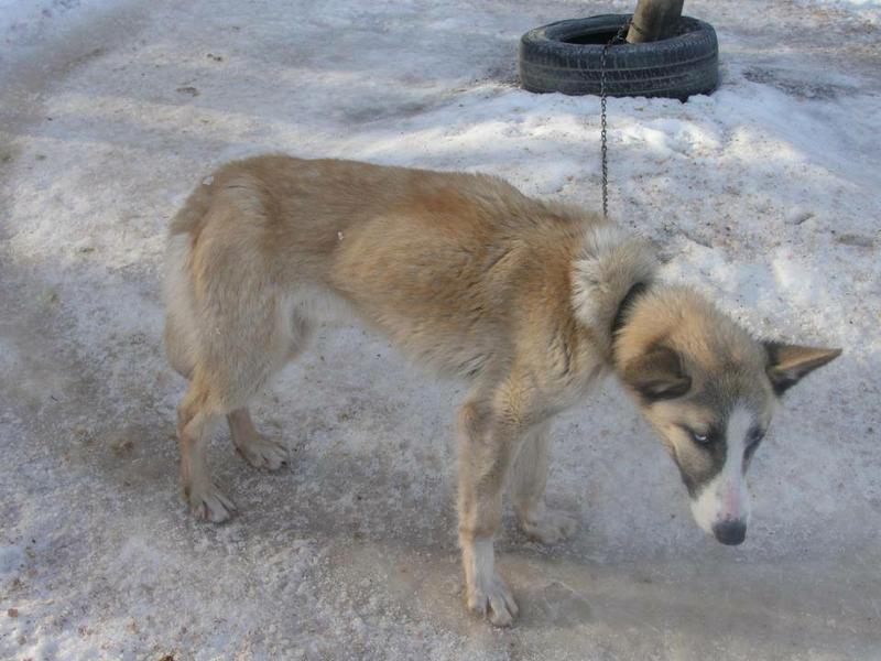 14088647_10210337380541075_3714122850550233885_n