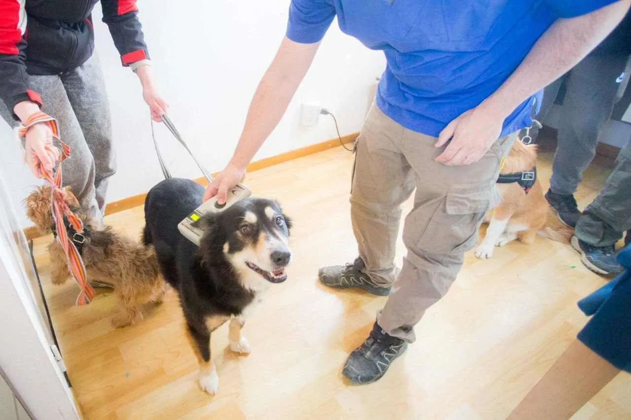 photo_4999445982877953461_y-1