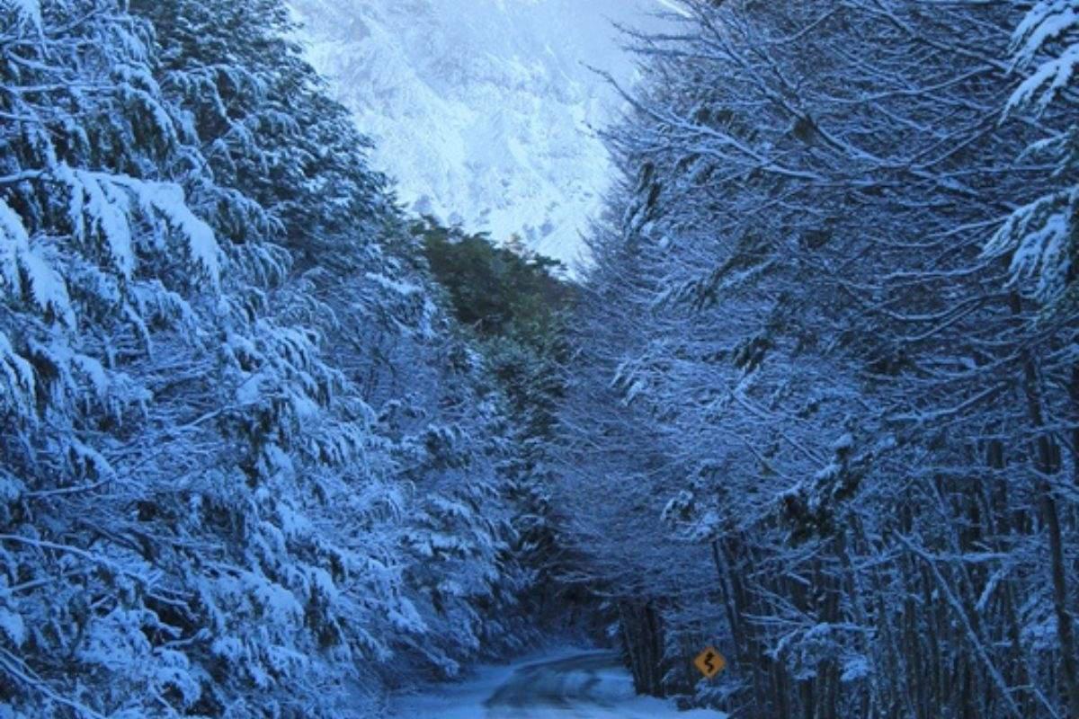 Parque-nacional-3-Turismo-en-Ushuaia-1