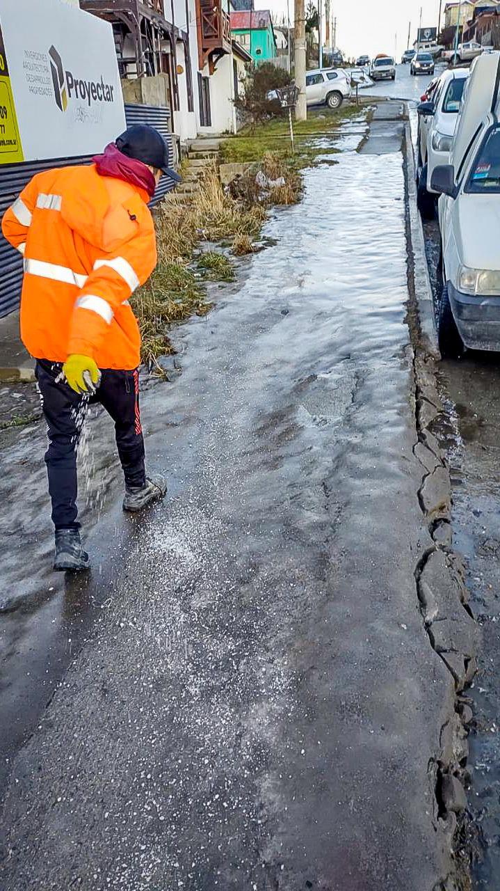 69d1ba6d-4d5e-4791-b2a2-e575e35cd10f