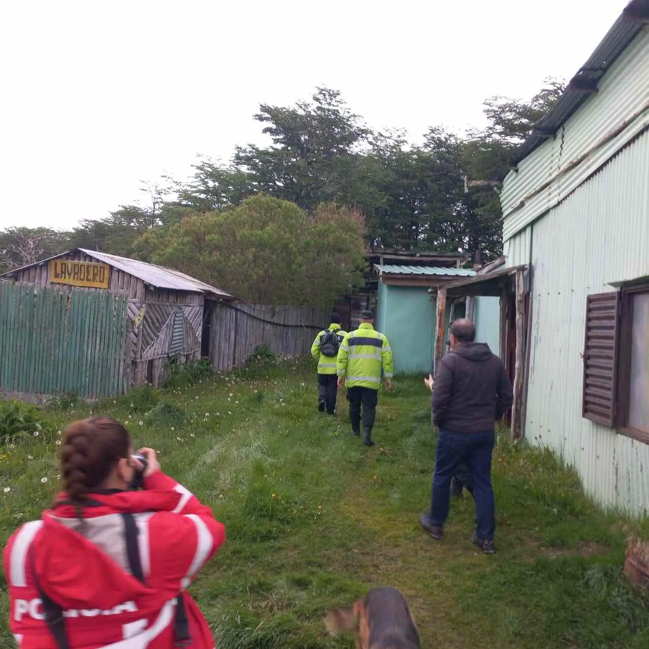 photo_5102831454919962240_y-1