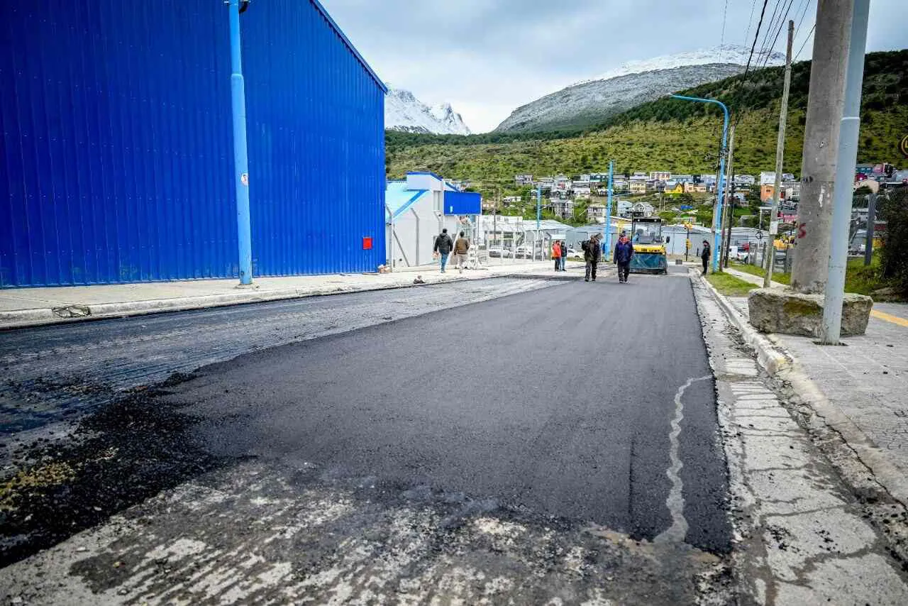 photo_5084881111552732753_y-1