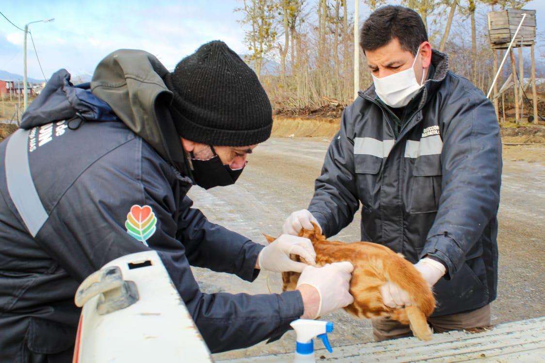 25f7afc3-8601-490d-907c-9c724b76193d