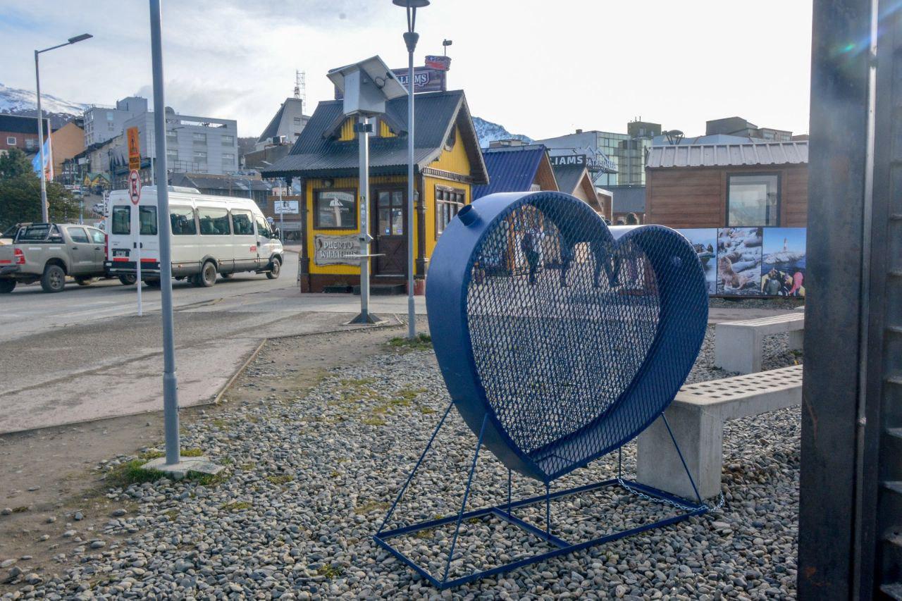 photo_5107183549575966032_y