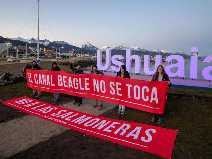 salmones-1200x900-1-696x522