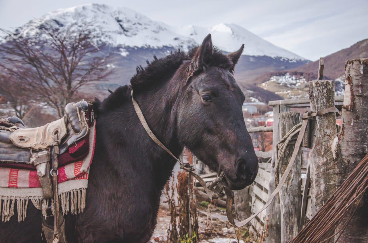 026c08d3-8e13-446f-be90-63a7e4f4d188