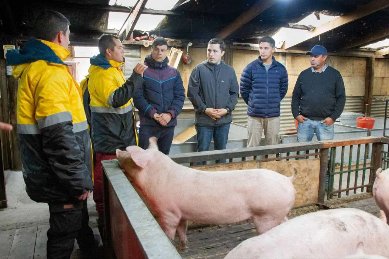 photo_5057610933966319094_y-1