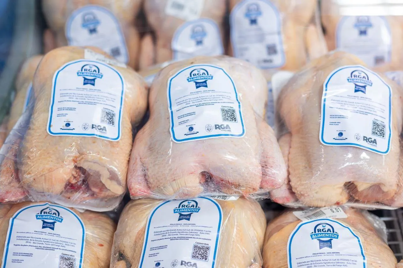 photo_4983557064899014408_y (1)