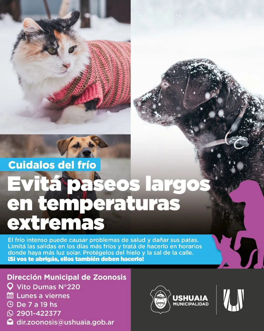 PERROS-2