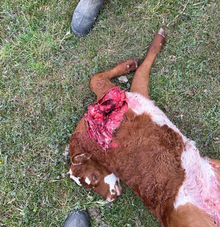 633eda13-5925-4911-8b5a-619f19a29868