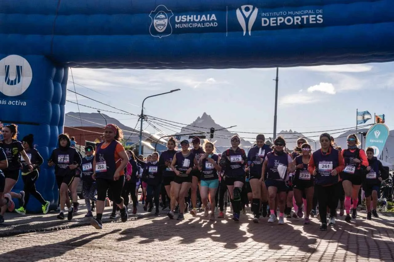 photo_5066665596908407617_y-1