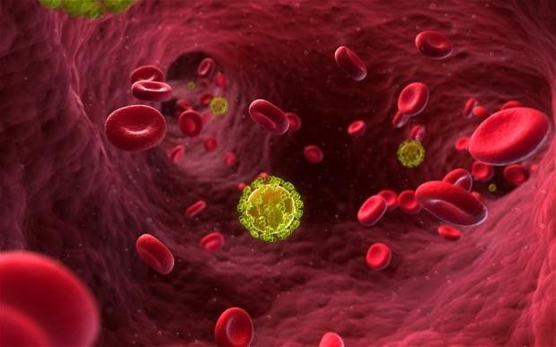 hiv-virus_2548220b-large_trans++pJliwavx4coWFCaEkEsb3kvxIt-lGGWCWqwLa_RXJU8