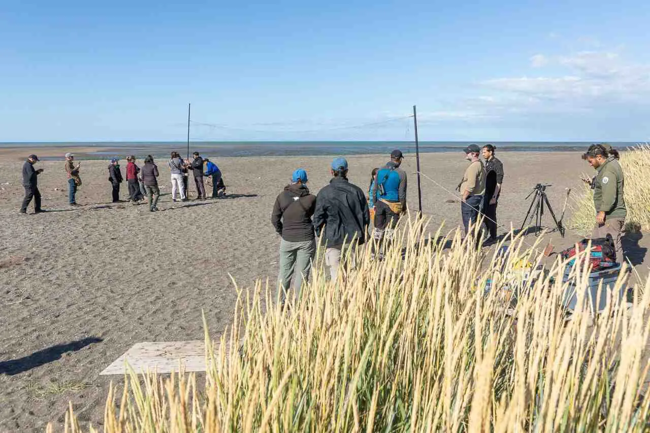 photo_4927166102811380747_y-1