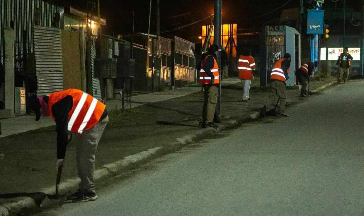 photo_5017164290637016658_y-1