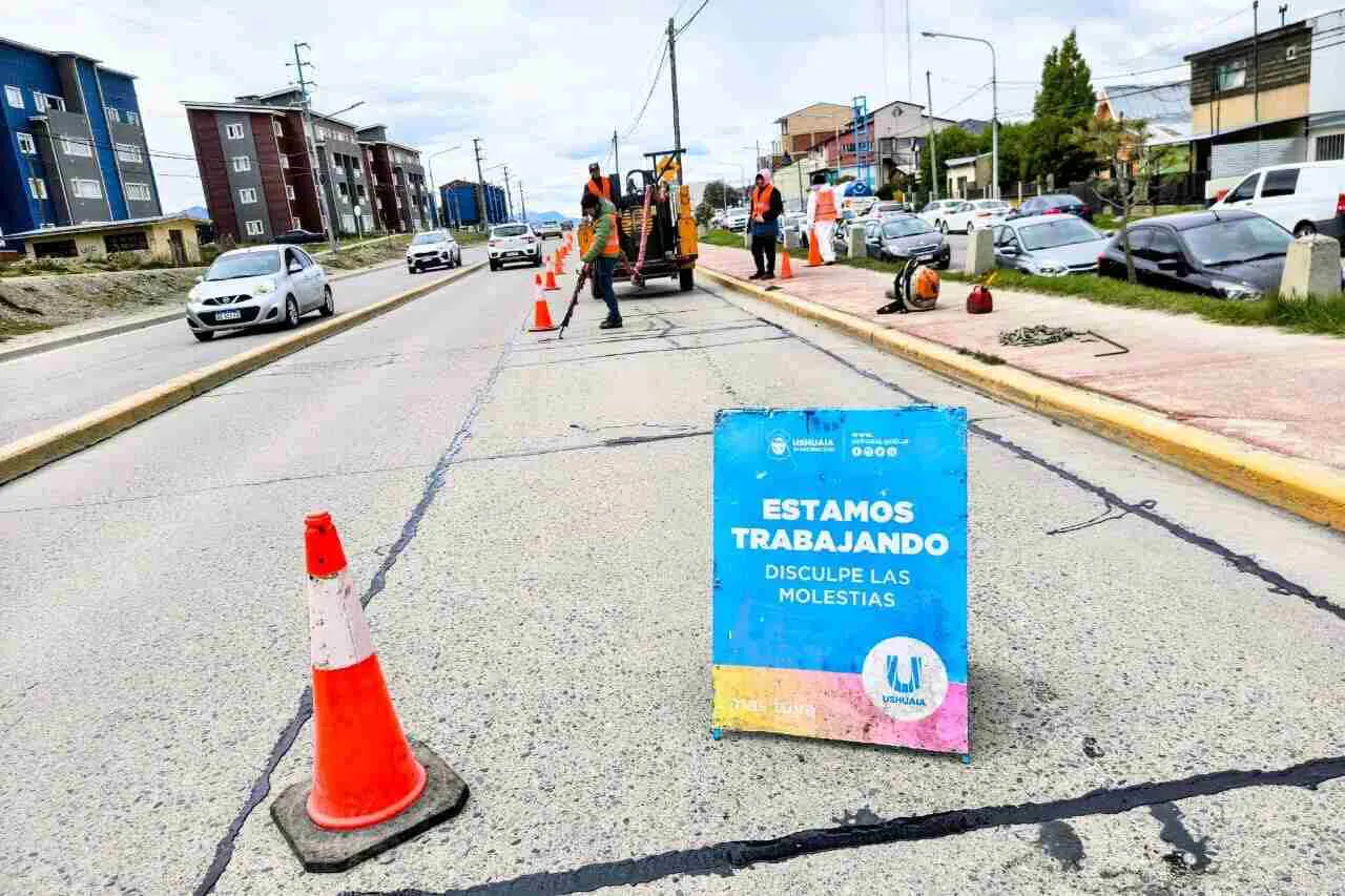 photo_5015056355051637544_y-1