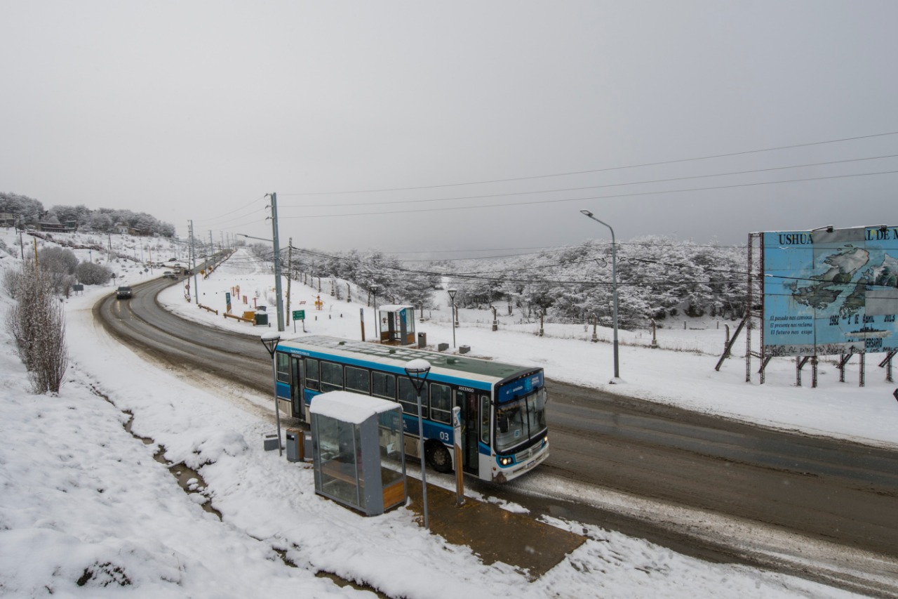 colectivos 1