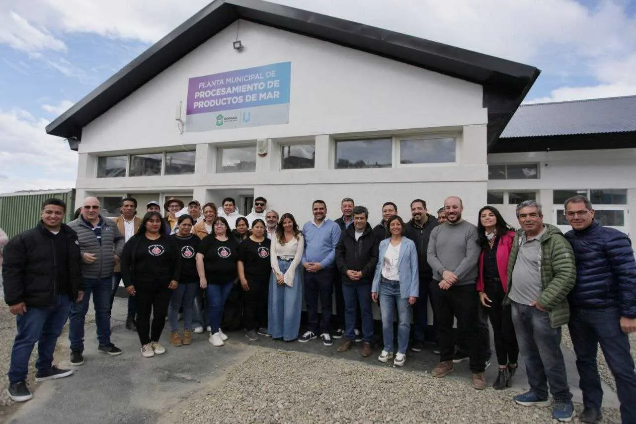 photo_5111701232401100261_y-1