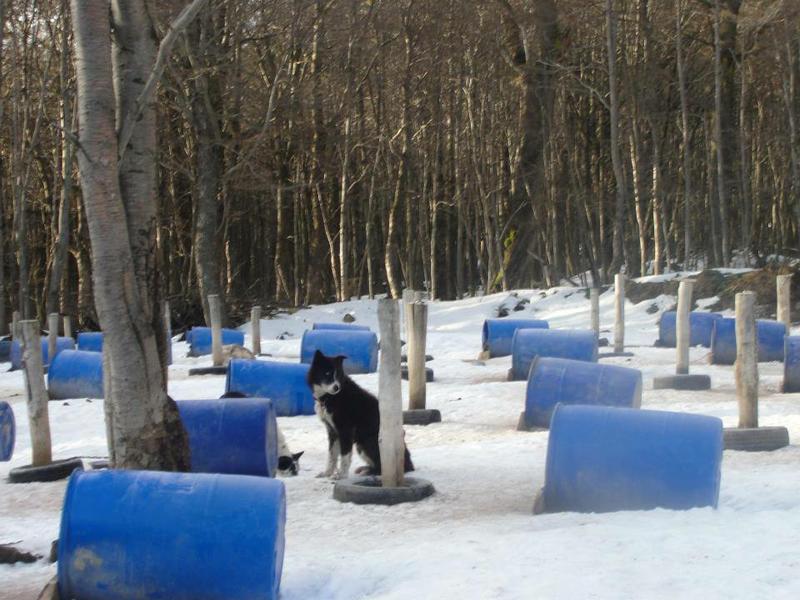 14063976_10210337381381096_561912154808920867_n