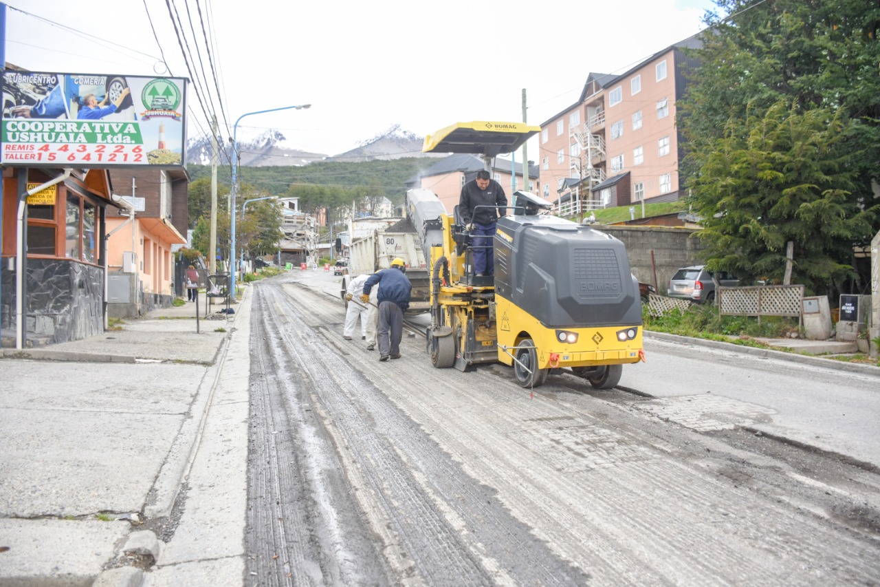 fresado en Isla Año Nuevo 3