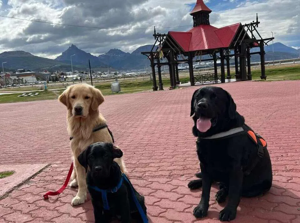 photo_5143279889250626728_y-1-1