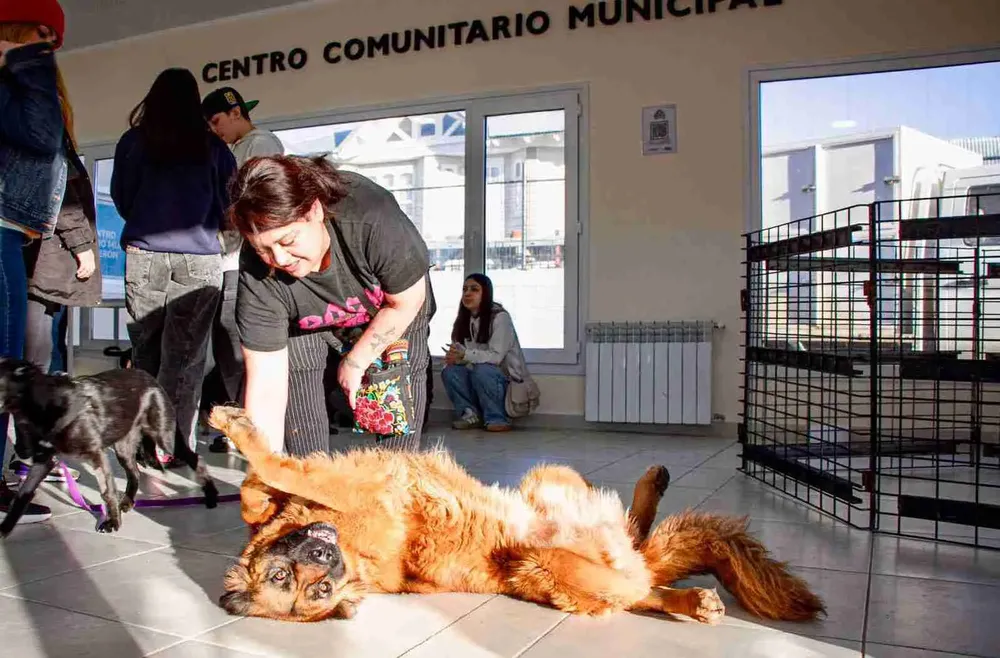 photo_5003842431661223368_w-1-1