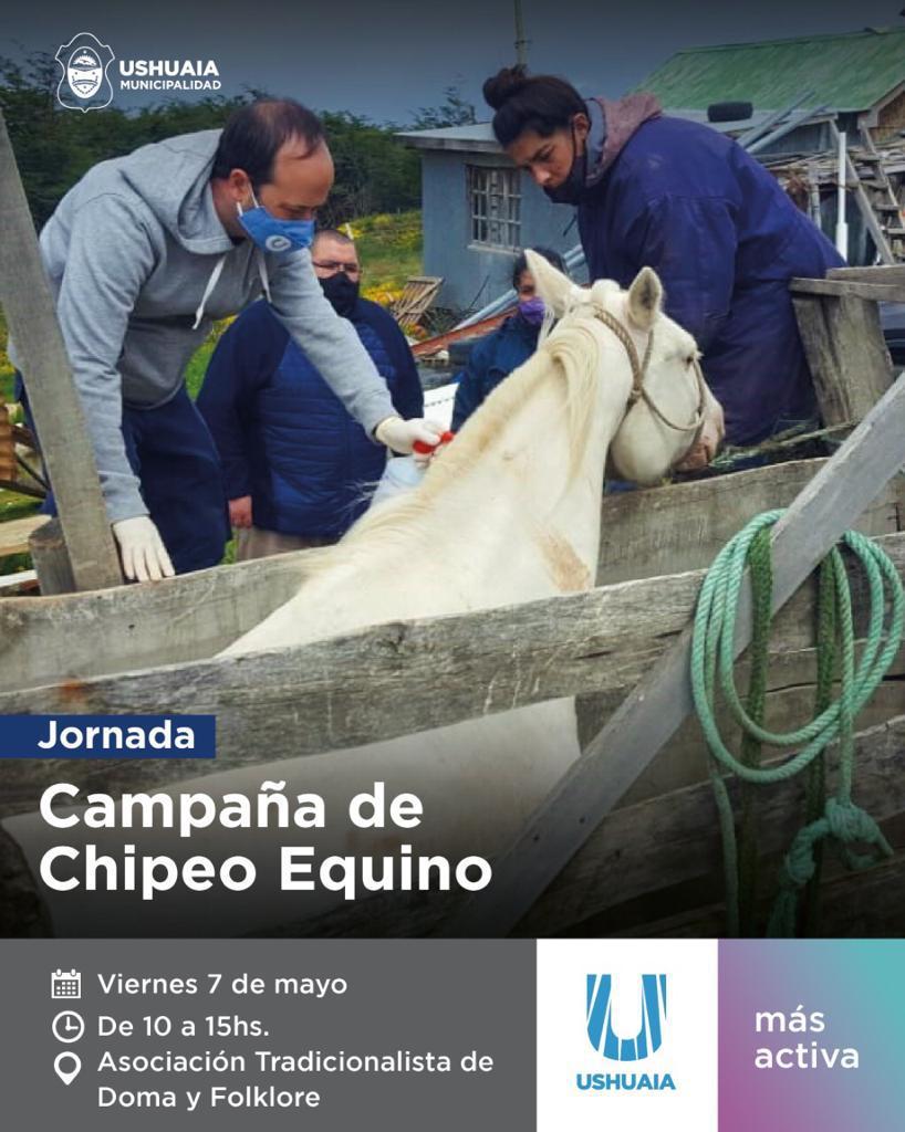 mail - 2021-05-03T234245.592