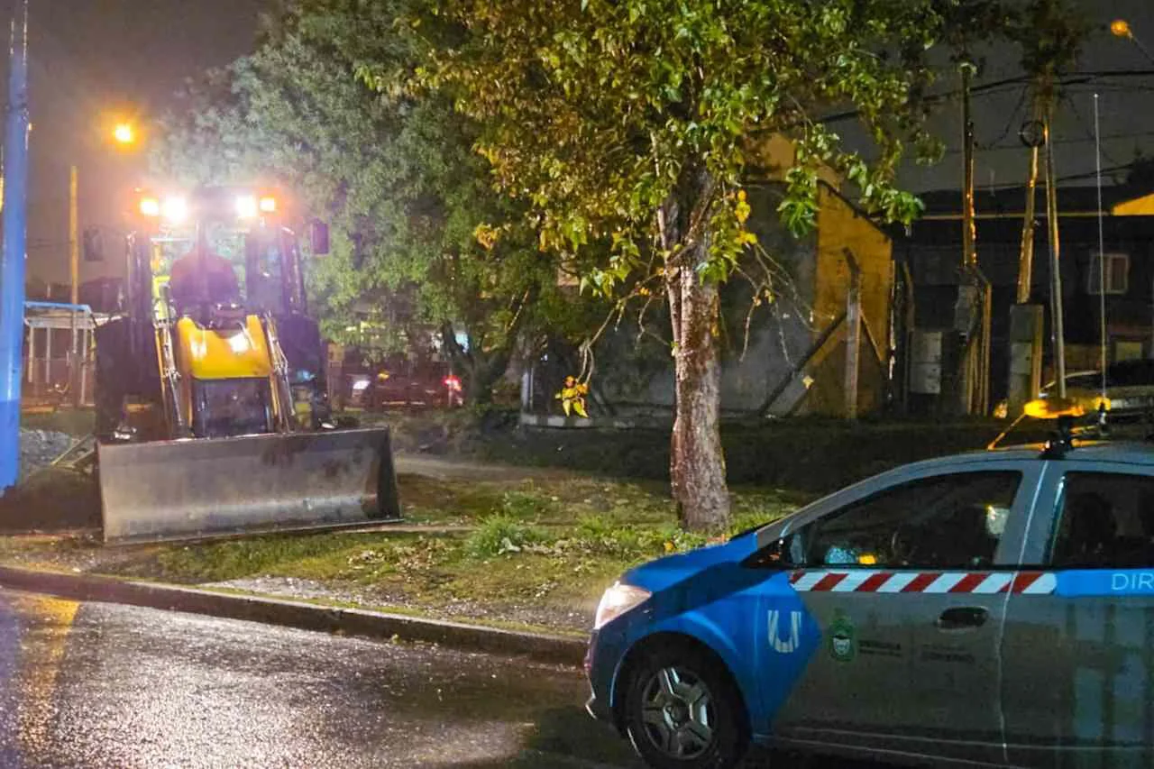 photo_5030631744712936536_y-1