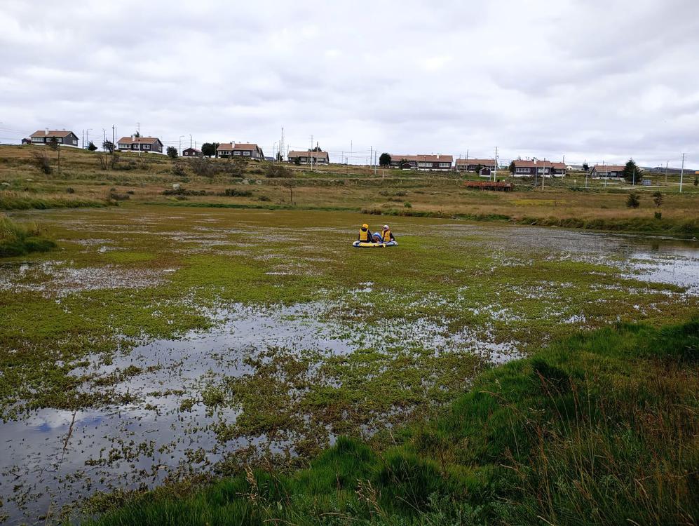 26d848bc-61ca-404b-a235-a257fd5a27d3