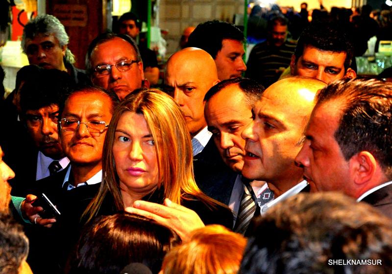 bertoneparlamentarios