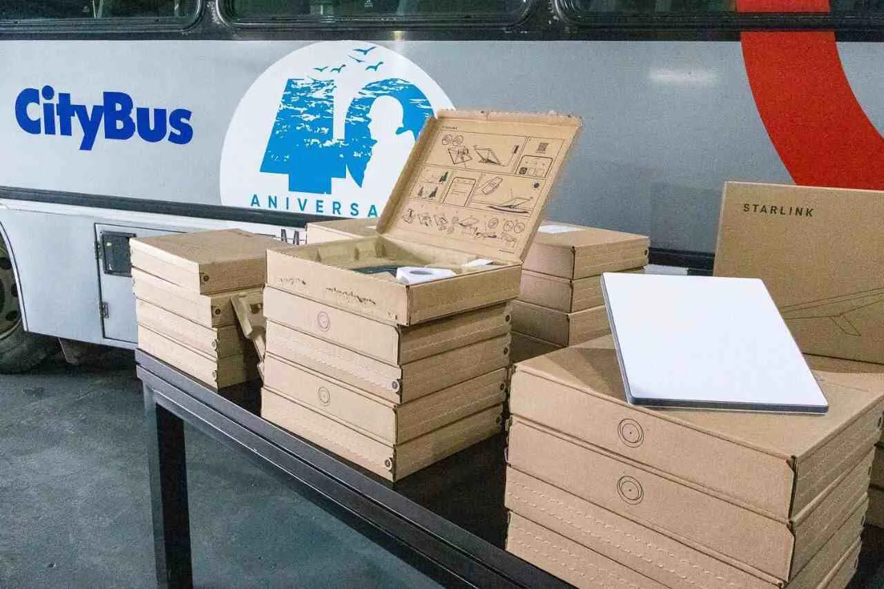 photo_4902299711046355726_y-1