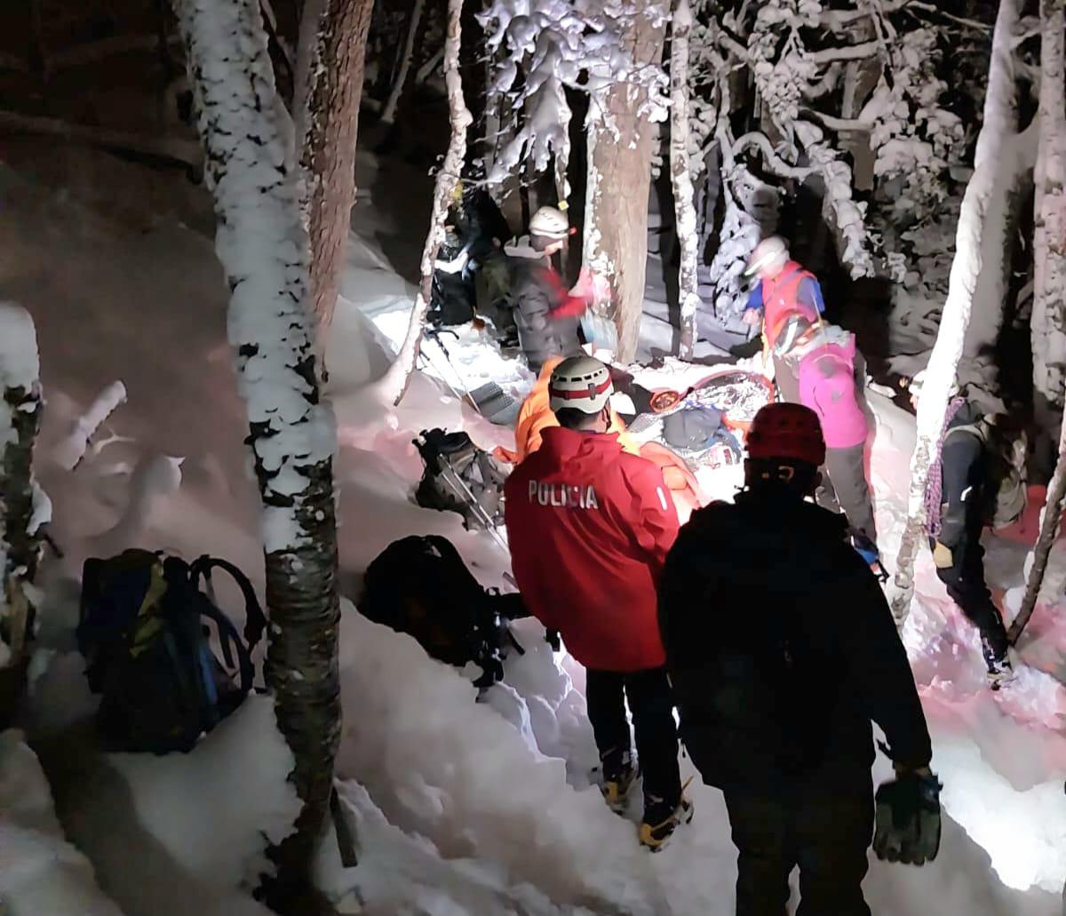 f902c03d-cc0f-4f3f-92c8-a507e20c8198