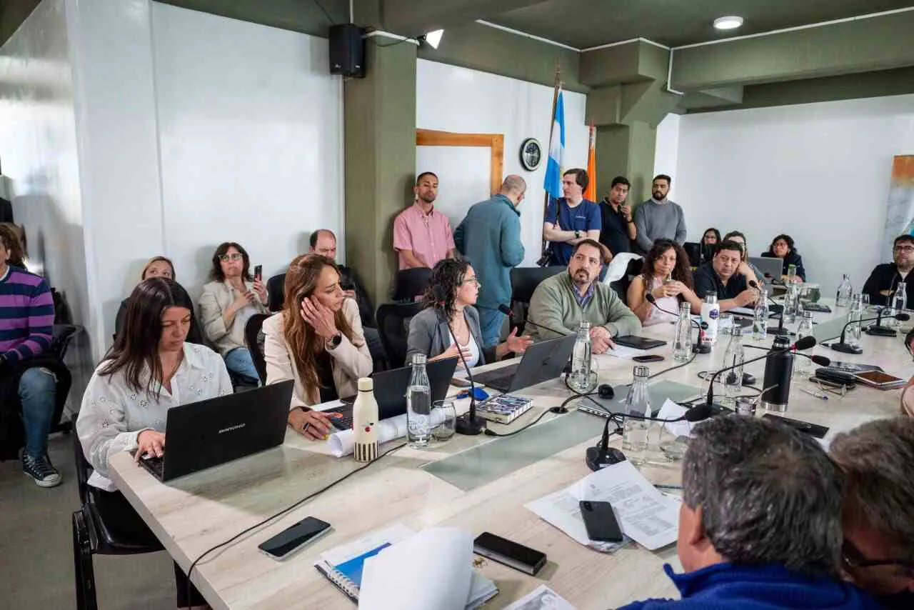 photo_4960916539938900794_y-1