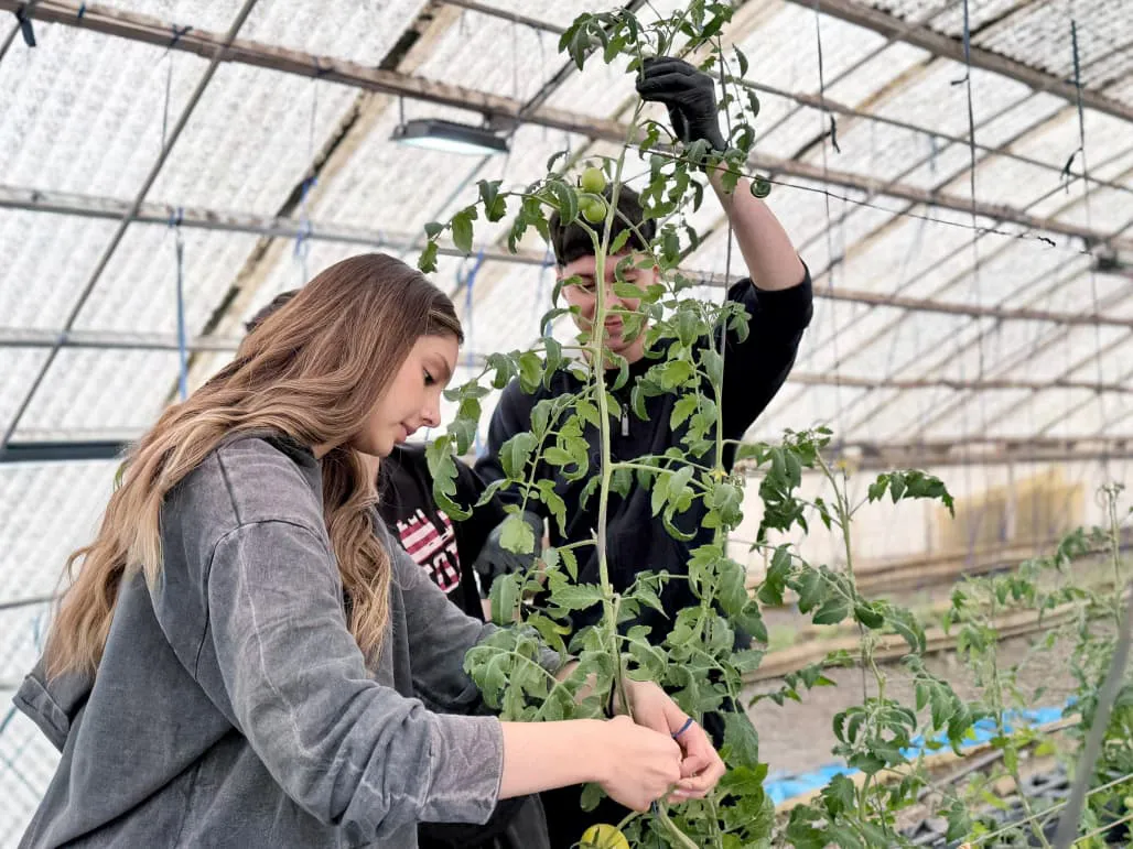 photo_5093982026997631756_y