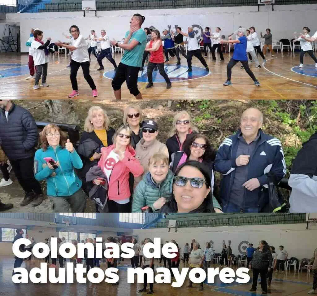 photo_5017191125592682146_y-1